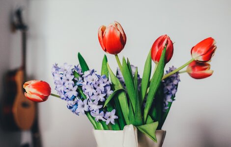 Vase red indoors