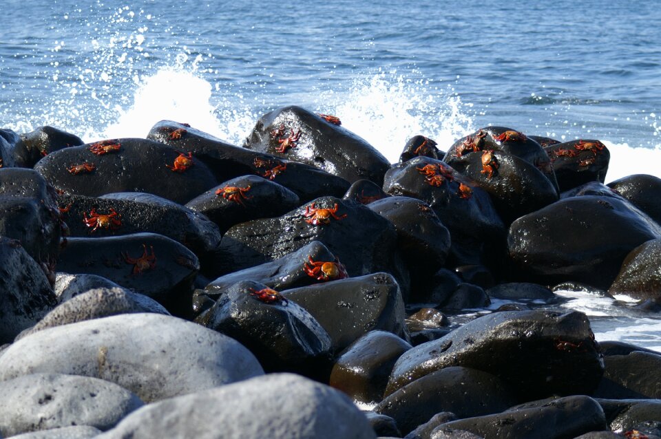 Tourism ecuador water