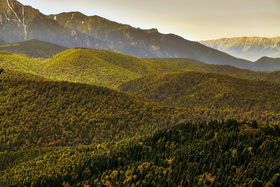 Woods mountains landscape photo