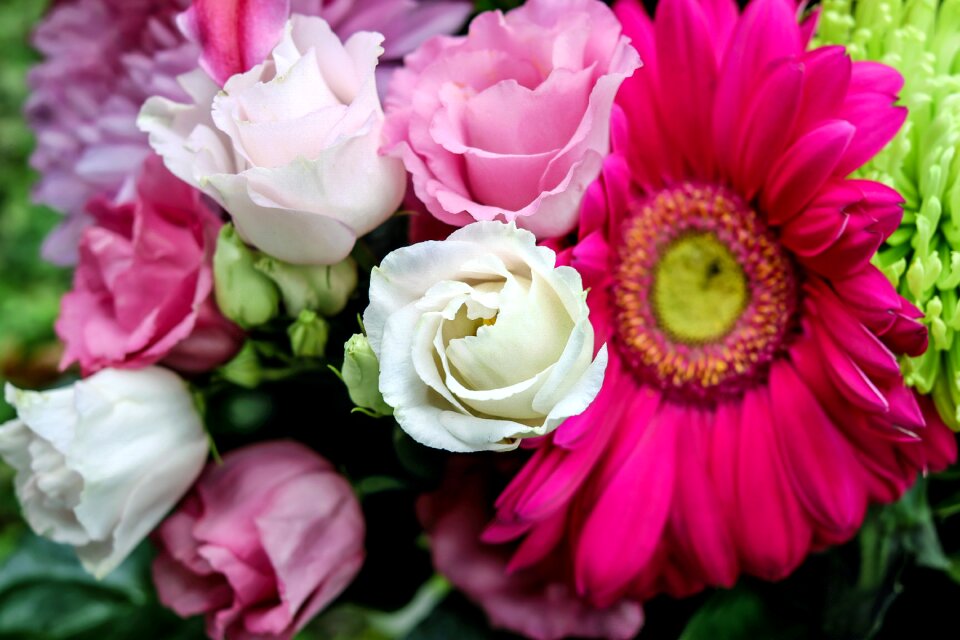 White pink tiresome
