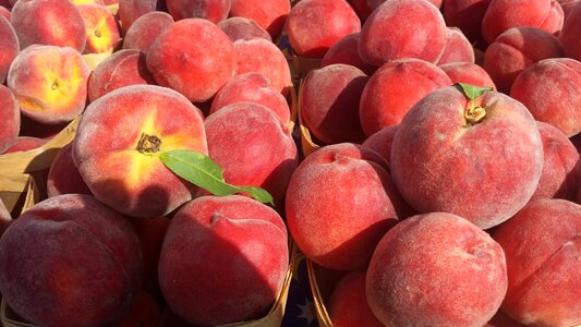 Healthy summer juicy