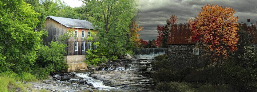 Colors mill trees
