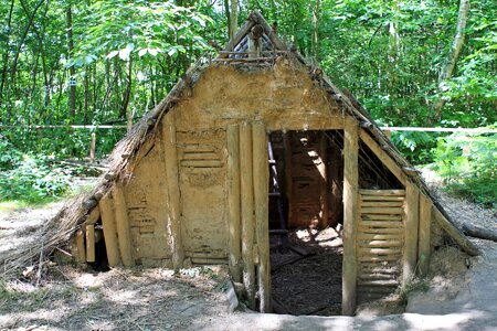 Cabin chalet construction