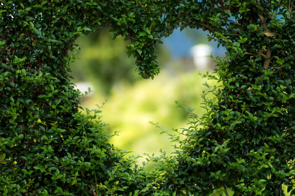 Romance luck valentine's day