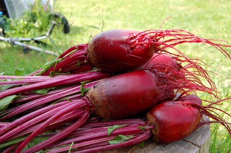 Vegetable from the garden haulm
