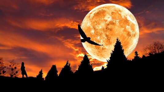 Moon silhouette mystical photo