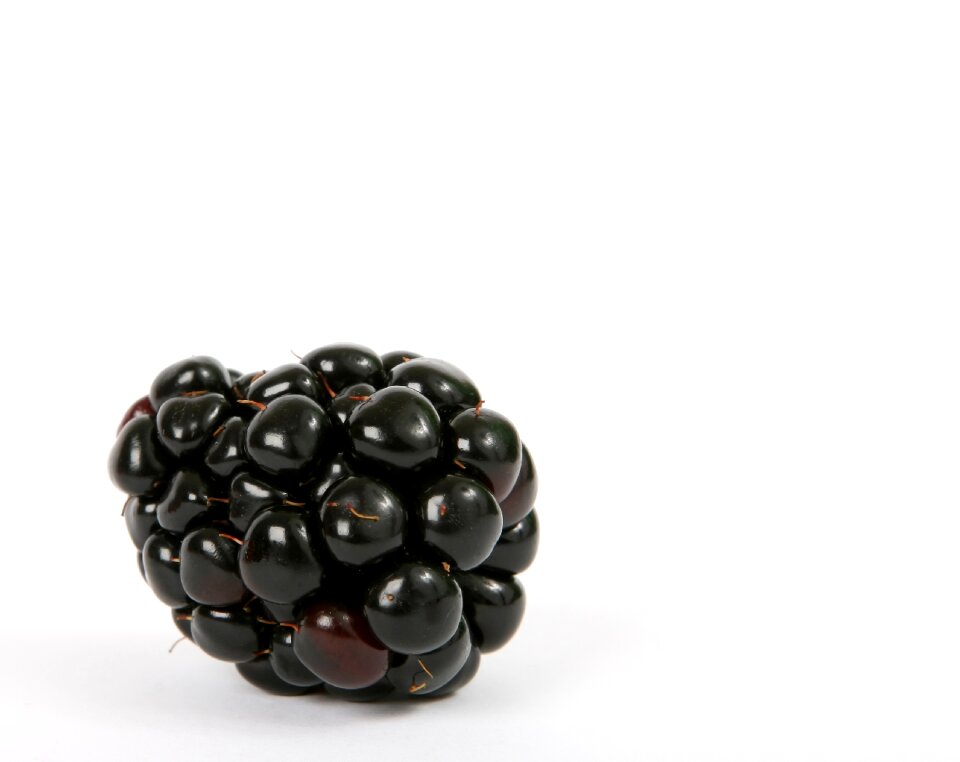 Blueberry breakfast cherry
