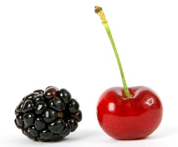 Blueberry breakfast cherry