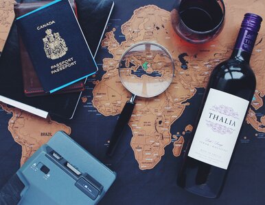 Traveller travelling voyage