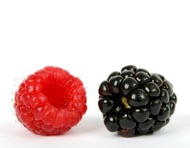 Blueberry breakfast closeup