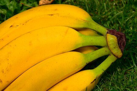 Healthy yellow banana peel photo