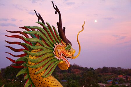 Temple dragons asia photo