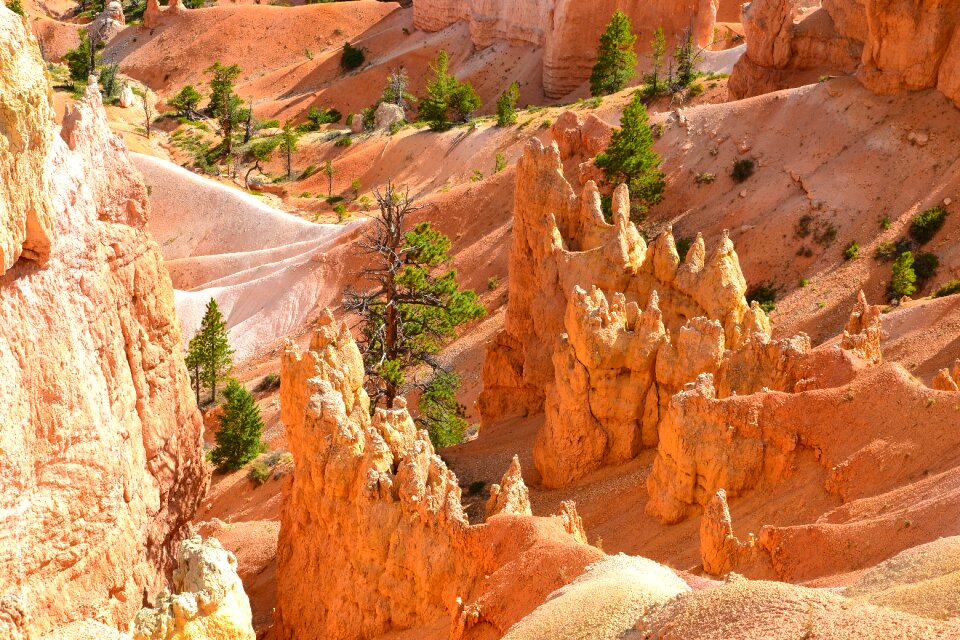 National park america south west