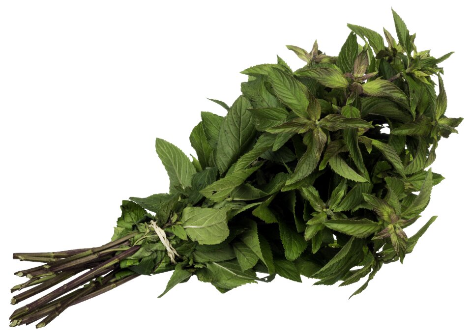 Green leaves food