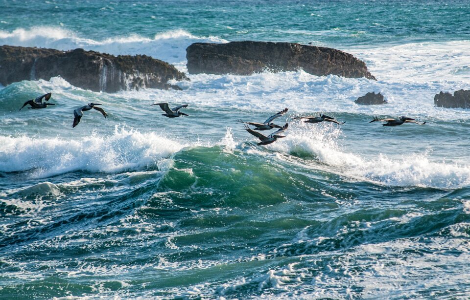 Sea surf wave