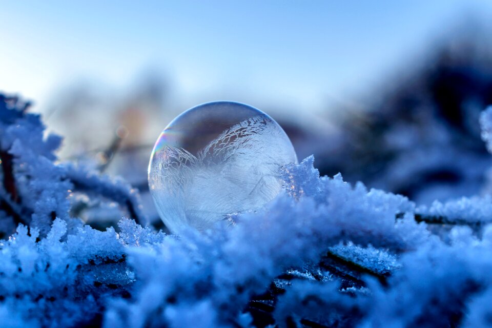 Winter landscape ripe