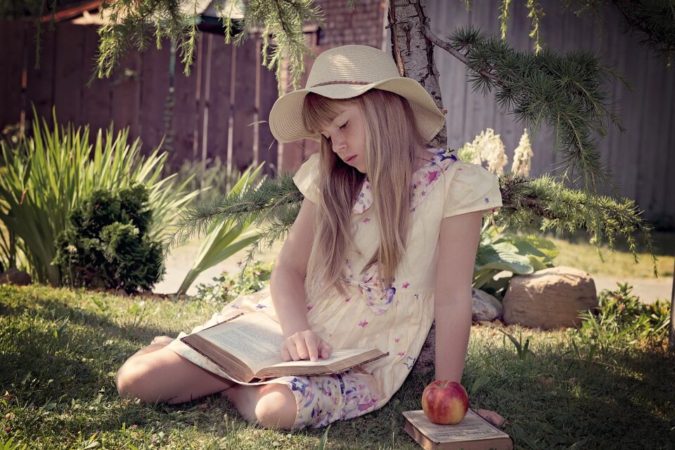 Learn book literature
