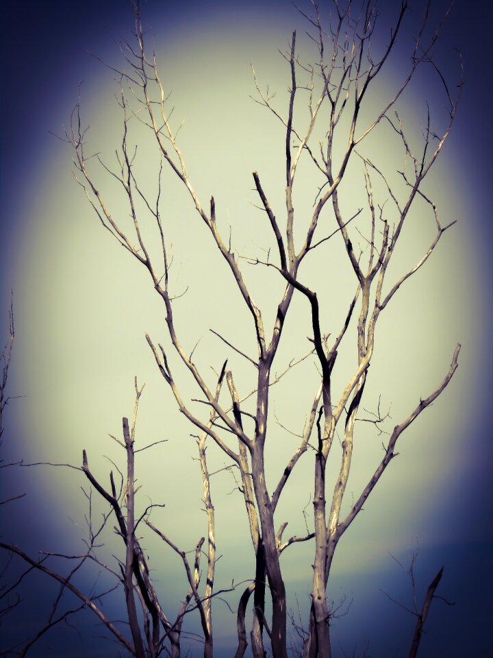 Horror chilling haunted