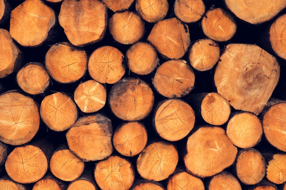 Woodpile firewood timber