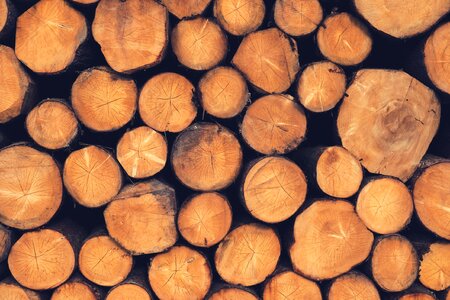 Woodpile firewood timber photo