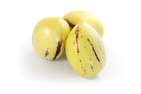Solanum muricatum three trio