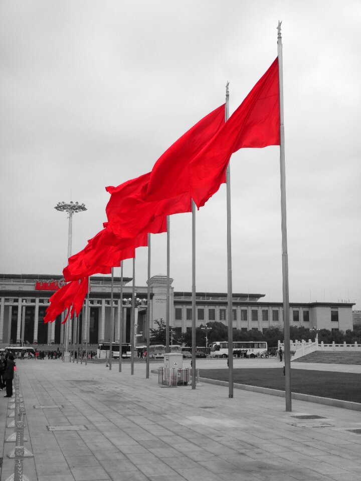 Socialism blow flutter