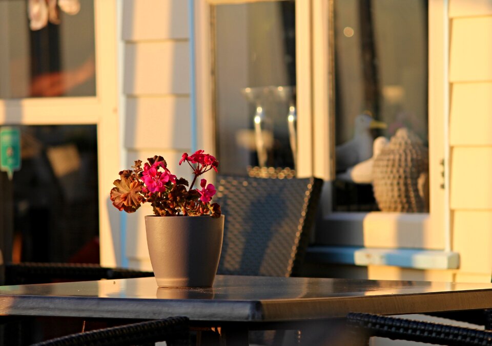 Evening sun beach shack table