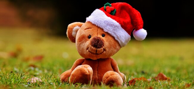 Soft toy santa hat funny