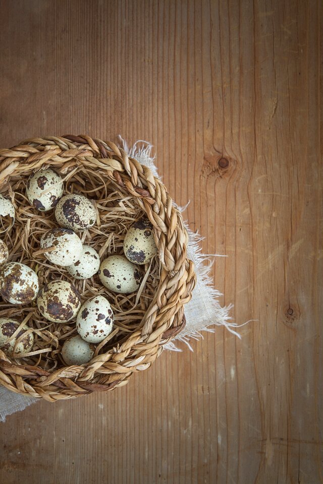 Small small eggs natural product