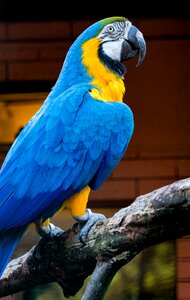 Zoo colorful exotic
