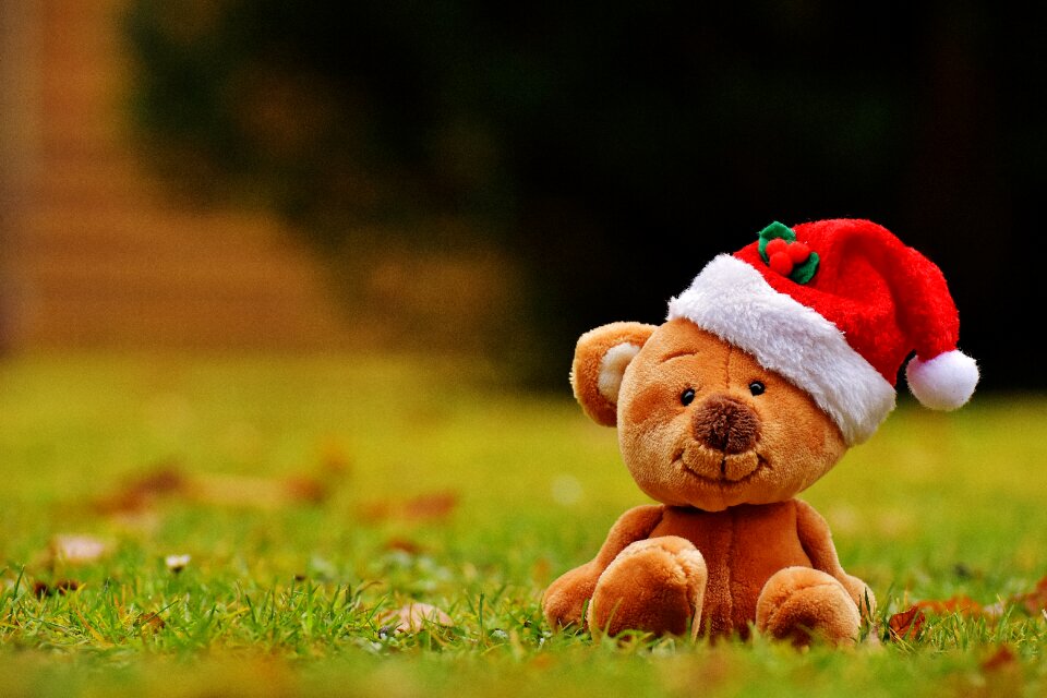 Soft toy santa hat funny