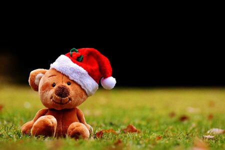 Soft toy santa hat funny