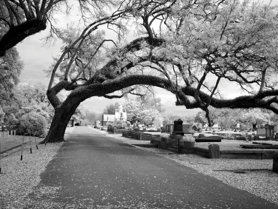 Alabama usa united states