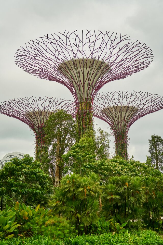 Beautiful color image garden