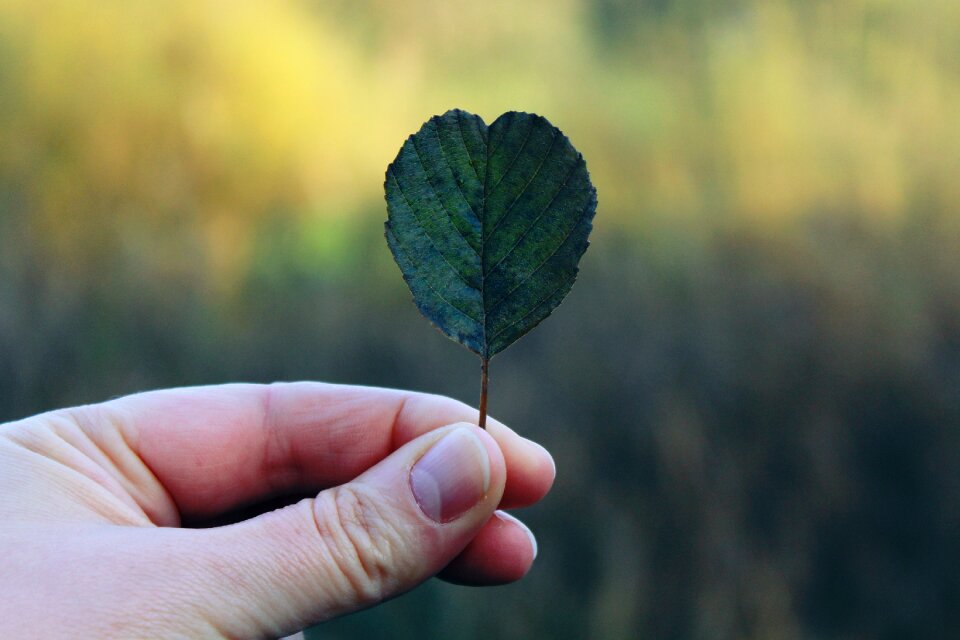 Finger nature close up