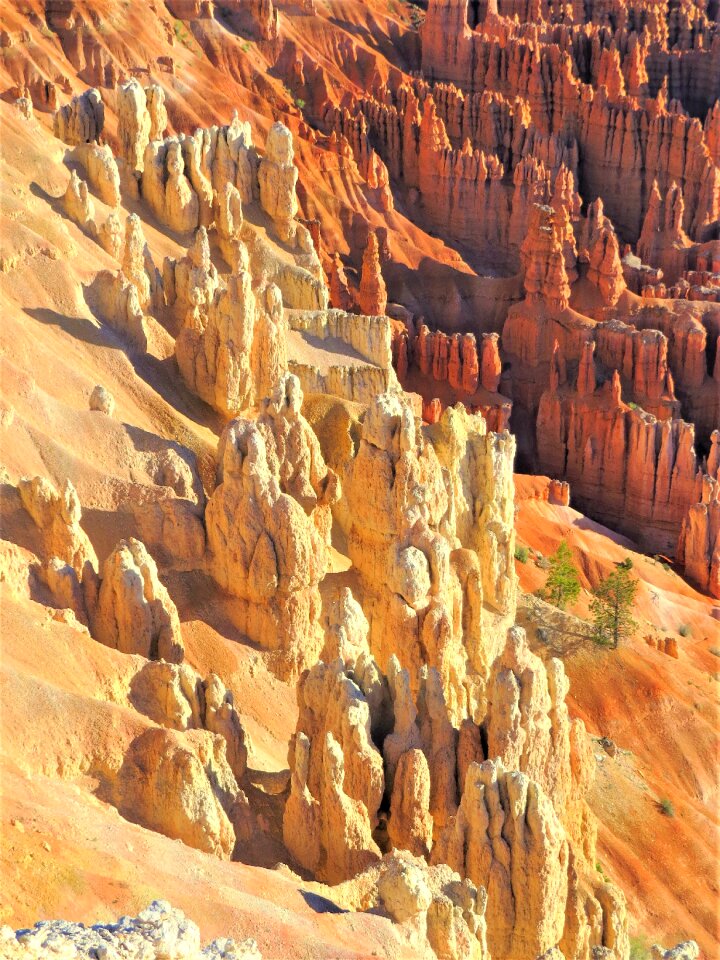 Utah hiking red sandstone