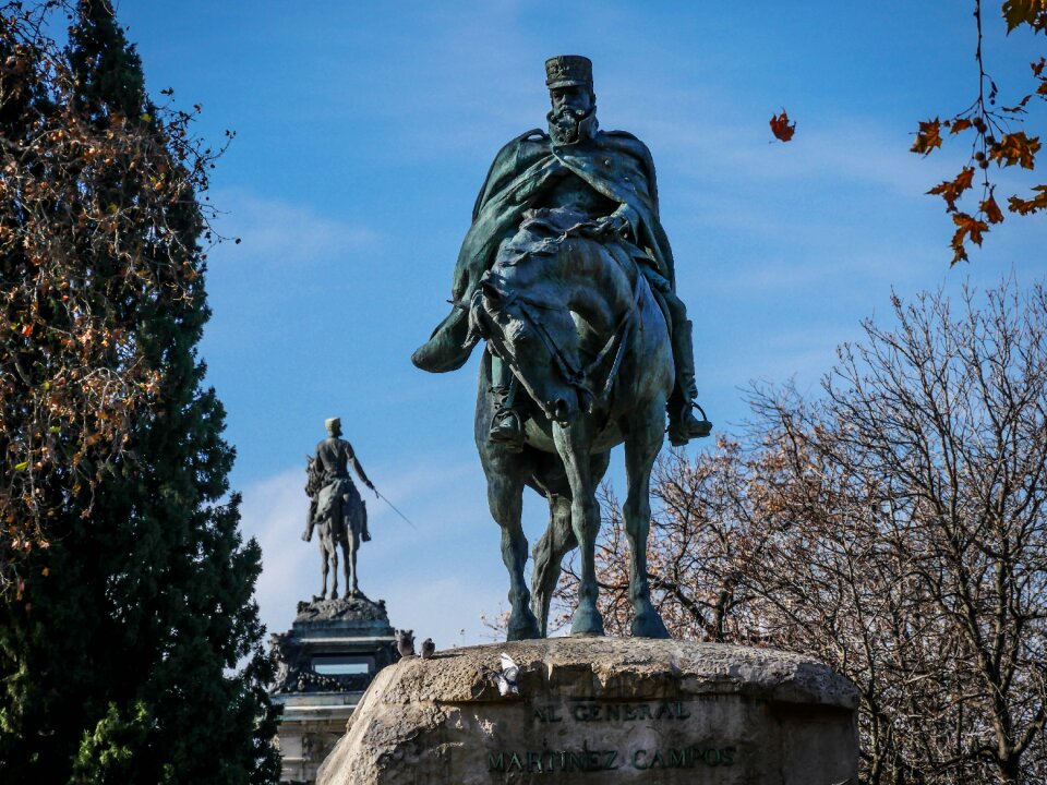 Madrid removal leaf