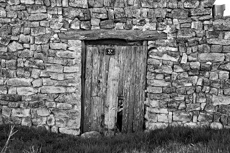 Background texture old wood photo