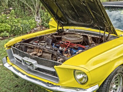 Hood bonnet auto