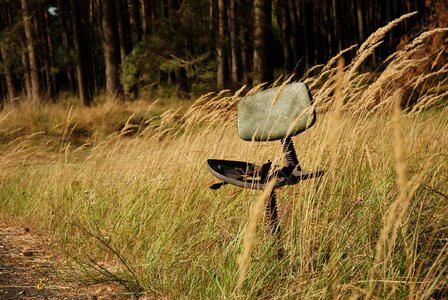 Antique sit rest