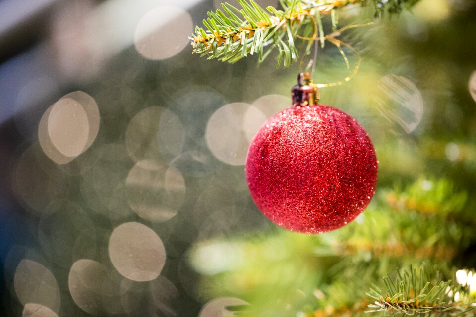 Glass ornament holiday photo