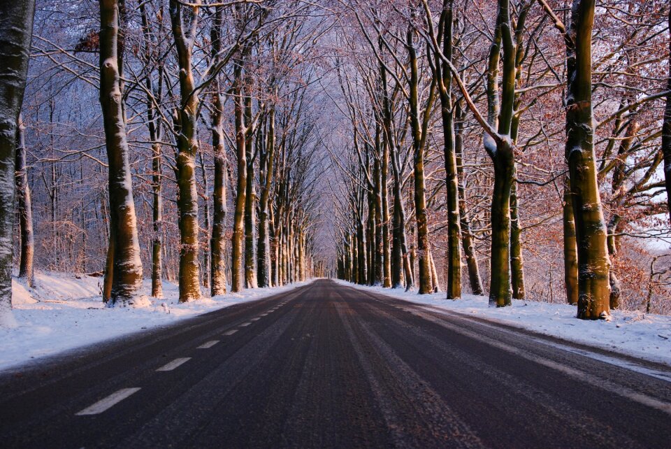 Cold wintry nature