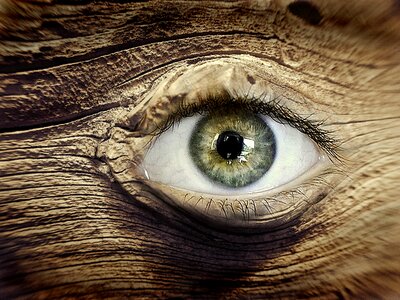 Wood eye brown wooden structure