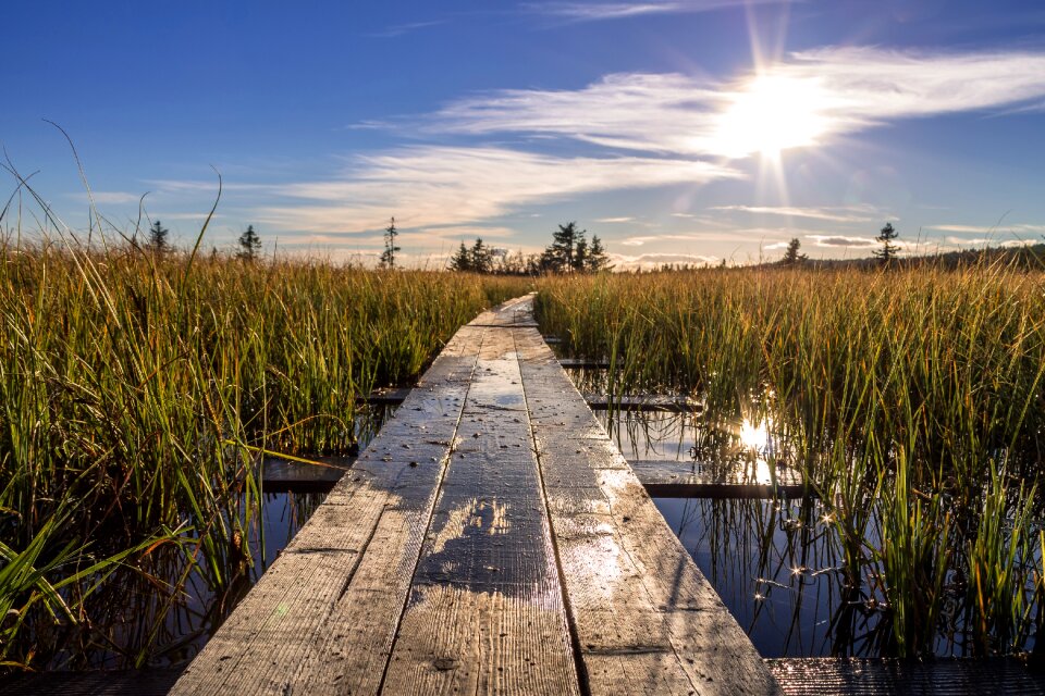 Trail footbridge foot