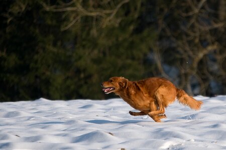 Winter snow attention