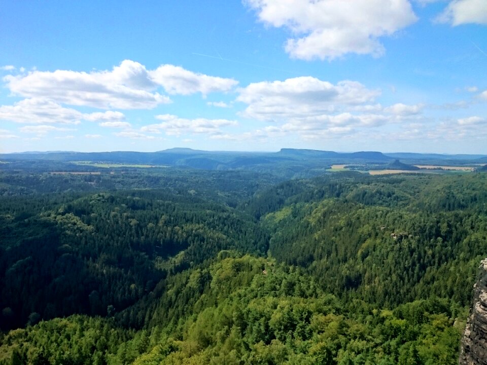 Travel green landscape