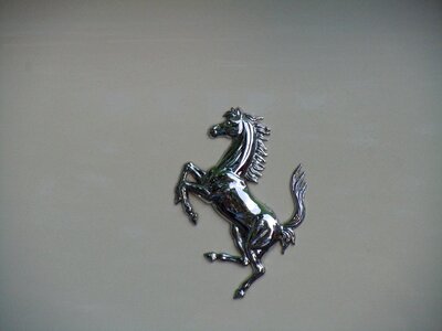 Stamp the horse image