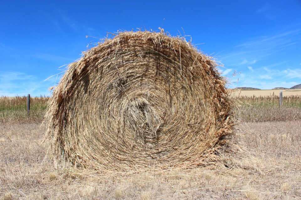 Farming rural harvest