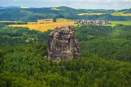 Nature forest natura