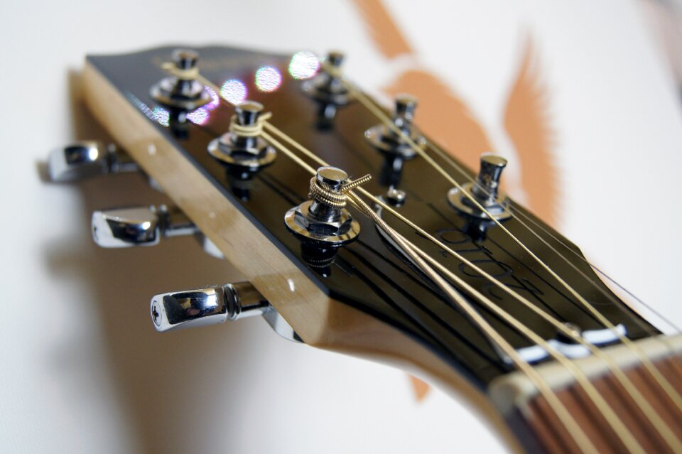 Musical instrument stringed instrument electric guitar